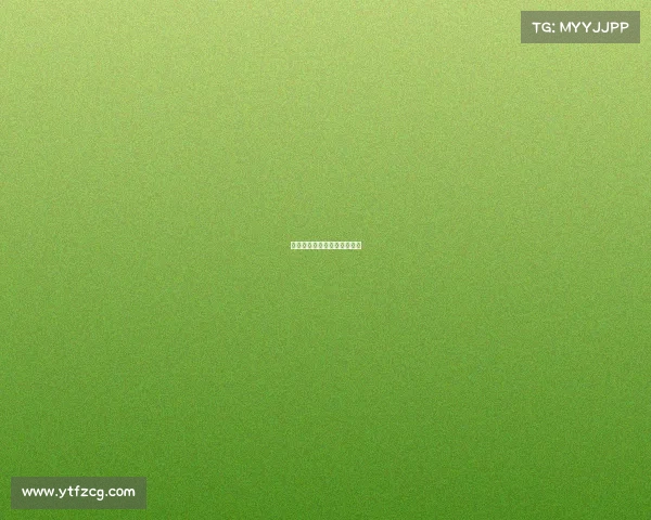 赛事等级—赛事等级分类文件